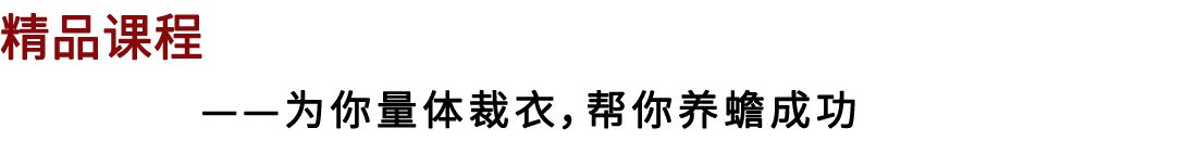 广西蟾蜍养殖技术基地_广西蟾蜍养殖技术基地_广西蟾蜍养殖技术基地