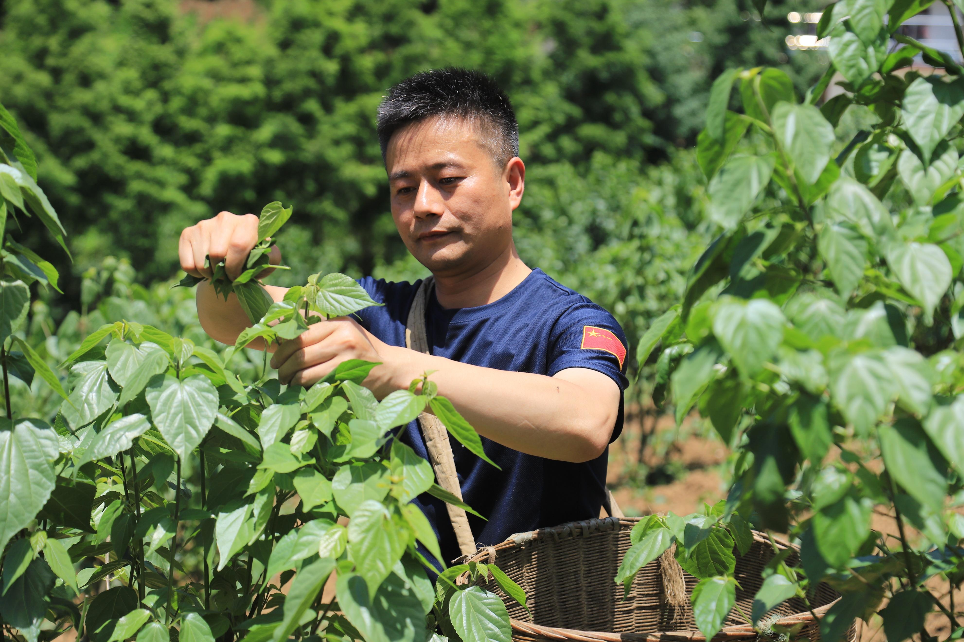 陕西外资企业_陕西杰出青年企业家_外企高管陕西创业致富经