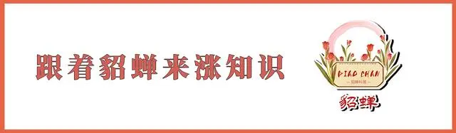 野生虾养殖技术视频教程_野生虾养殖技术_野生虾怎么养活