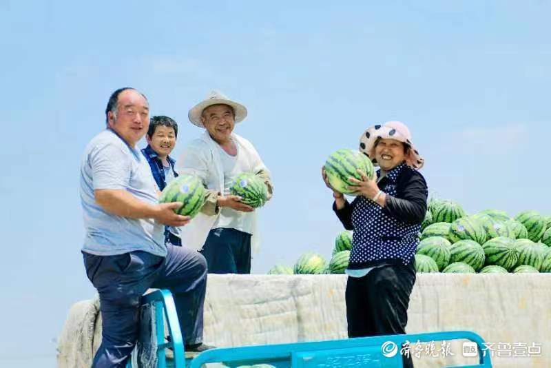 西瓜种植致富经_农业种植致富项目西瓜_致富西瓜种植视频