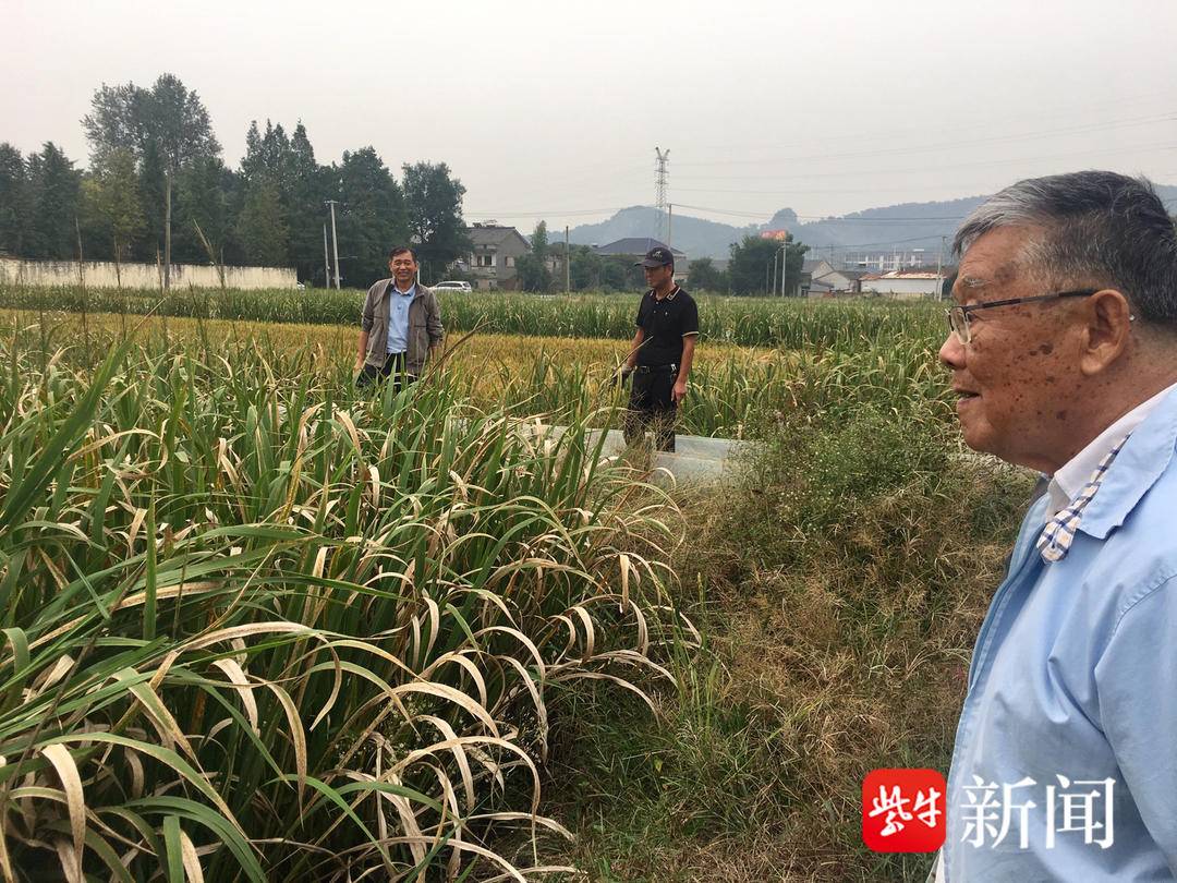 虫子养殖视频大全_致富经虫子的养殖视频_虫子养殖技术视频