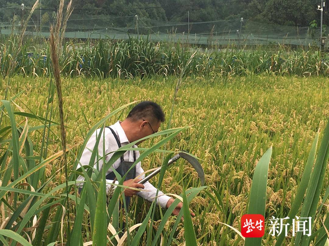 虫子养殖技术视频_致富经虫子的养殖视频_虫子养殖视频大全