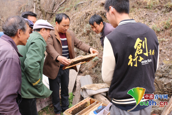 《中国青年网》西农大学子“农情蜜意”助秦岭蜂蜜走出深山