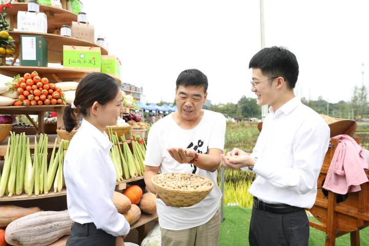 致富经水稻_种植彩稻致富_稻草致富