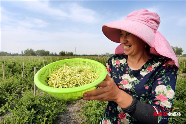 李健中水果致富经_李健中水果公司_孝感农业致富种植各种水果网