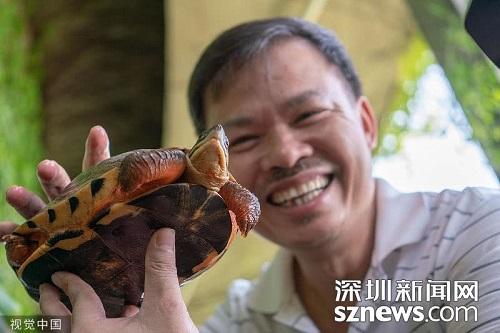 致富经龟金钱龟两广_金钱龟大王的财富之谜视频_致富经金钱龟大王