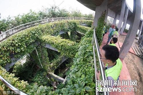 致富经龟金钱龟两广_致富经金钱龟大王_金钱龟大王的财富之谜视频