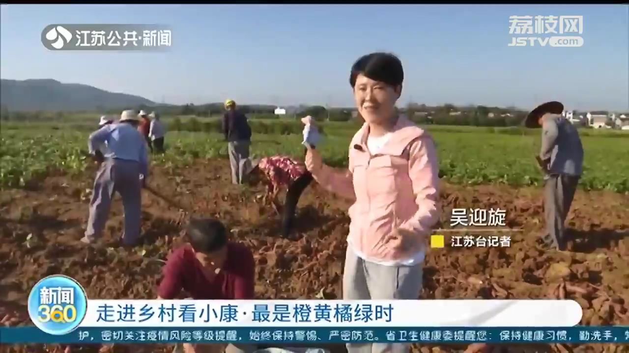 【走进乡村看小康·最是橙黄橘绿时】“荔直播”走进溧阳牛马塘 破解“地瓜村”的致富