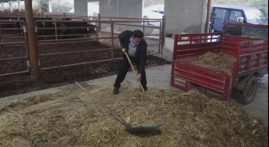 母牛养殖致富行业_致富养殖母牛行业现状_养殖母牛的利润从哪里来