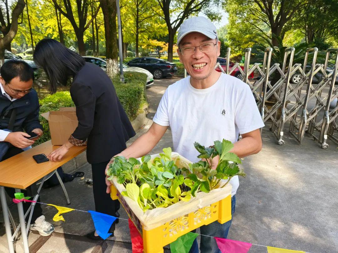 种植黄瓜视频教程_黄瓜种植的视频_小黄瓜种植技术视频