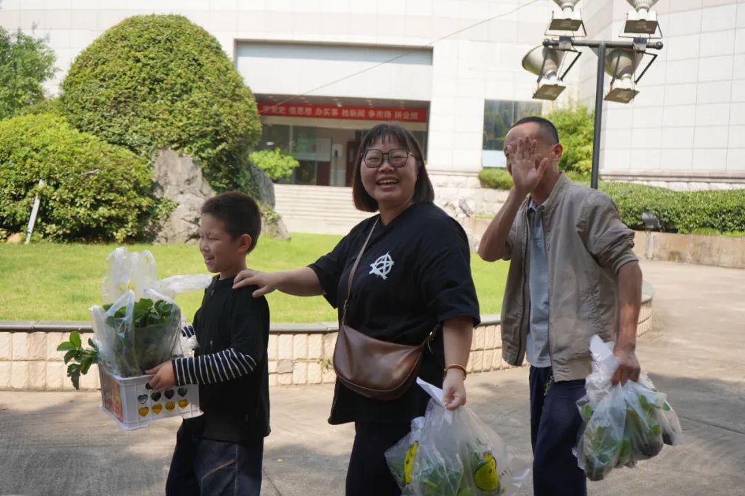 种植黄瓜视频教程_黄瓜种植的视频_小黄瓜种植技术视频