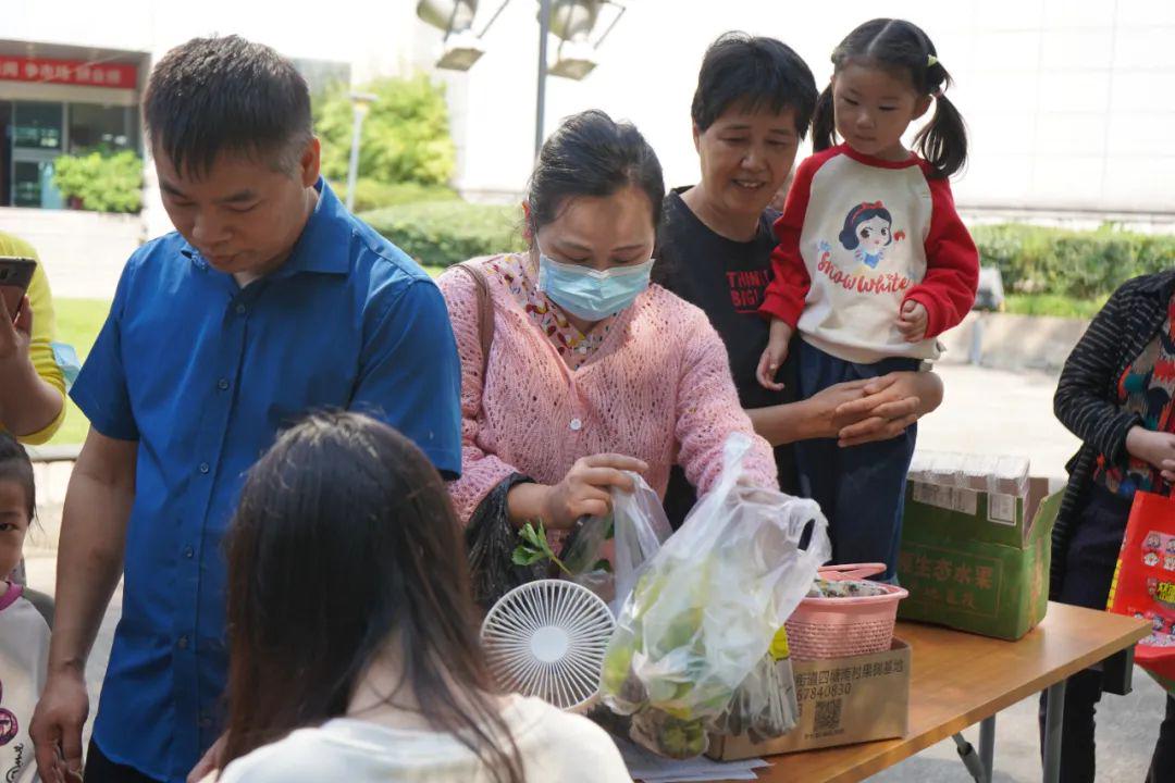 种植黄瓜视频教程_小黄瓜种植技术视频_黄瓜种植的视频