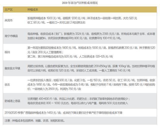 致富经甘蔗种植视频_甘蔗种植大户的致富路线_甘蔗种植效益