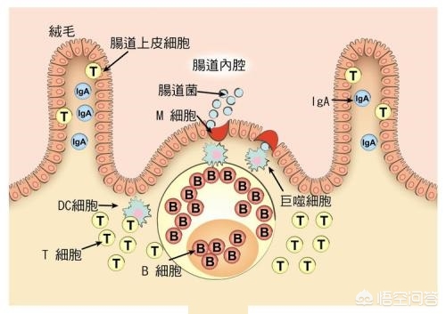 晨间锻炼活动内容_优质晨间锻炼分享经验_晨间锻炼内容指导要点