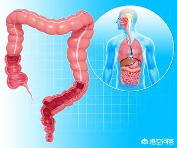 晨间锻炼活动内容_优质晨间锻炼分享经验_晨间锻炼内容指导要点