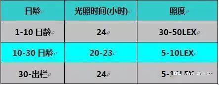 牛最舒适的养殖技术_牛类养殖_牛养殖视频教程