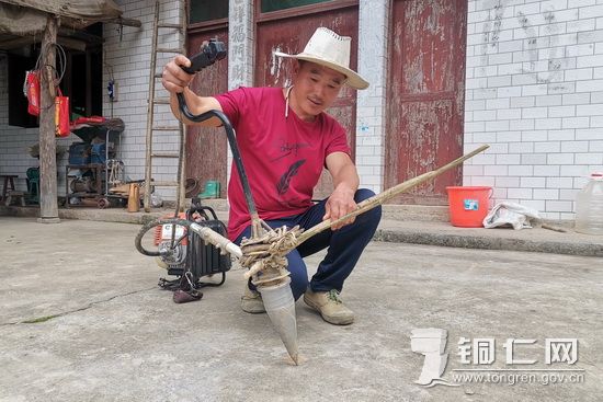 邵启江：从种烟“小白”到致富带头人的蜕变之路