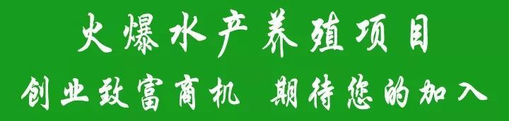 广西种养致富项目_广西养殖致富网_广西农村养殖致富门路