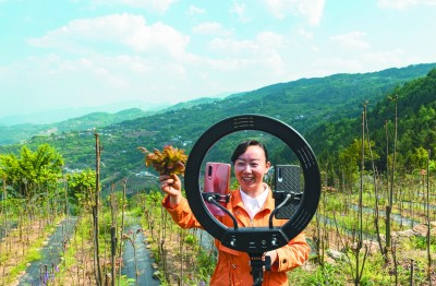 回乡村,做致富路上的“领头雁”