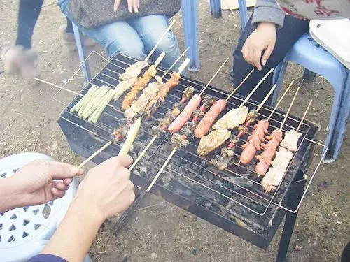 河州生态甲鱼养殖基地_河洲甲鱼养殖基地_河州甲鱼养殖技术大全