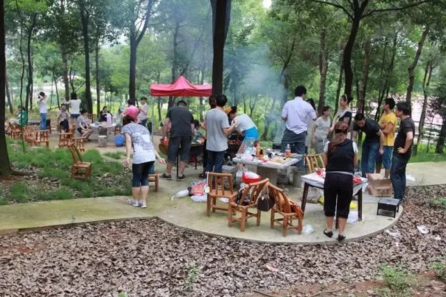 河州甲鱼养殖技术大全_河洲甲鱼养殖基地_河州生态甲鱼养殖基地