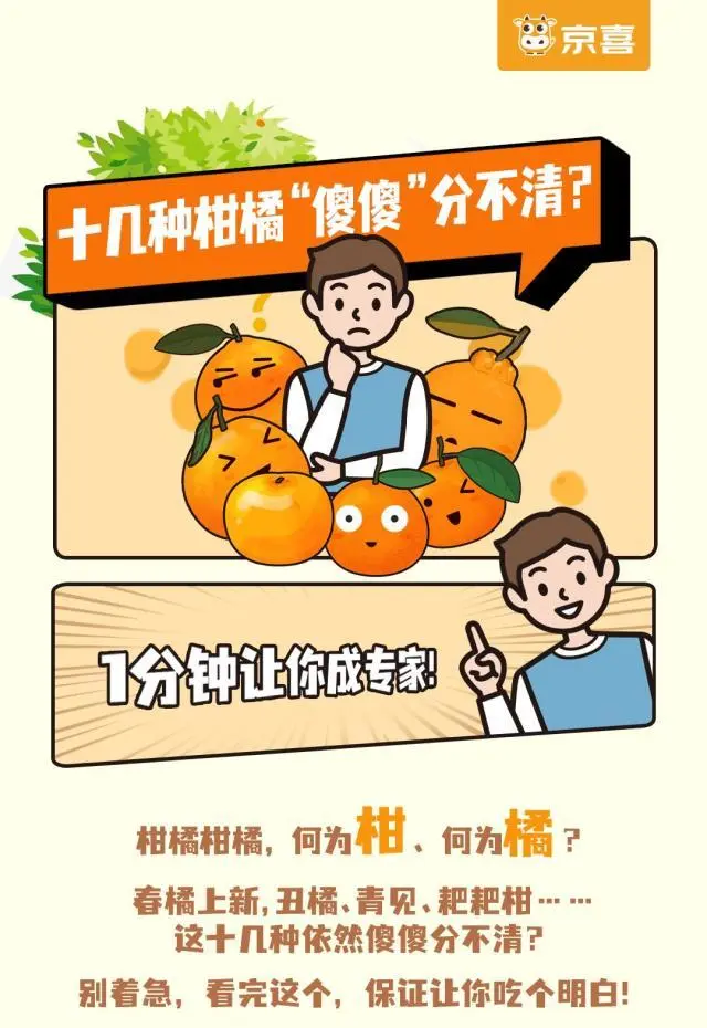 十几种柑橘傻傻分不清？一张图让你看得清楚吃得明白！