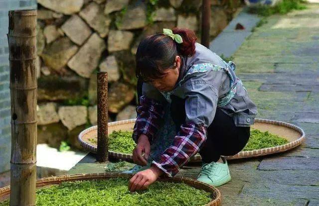 致富生态平台_致富好项目种植_生态种植致富案例