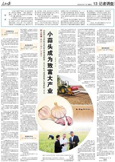 人民日报整版聚焦山东济宁金乡县：小蒜头成为致富大产业