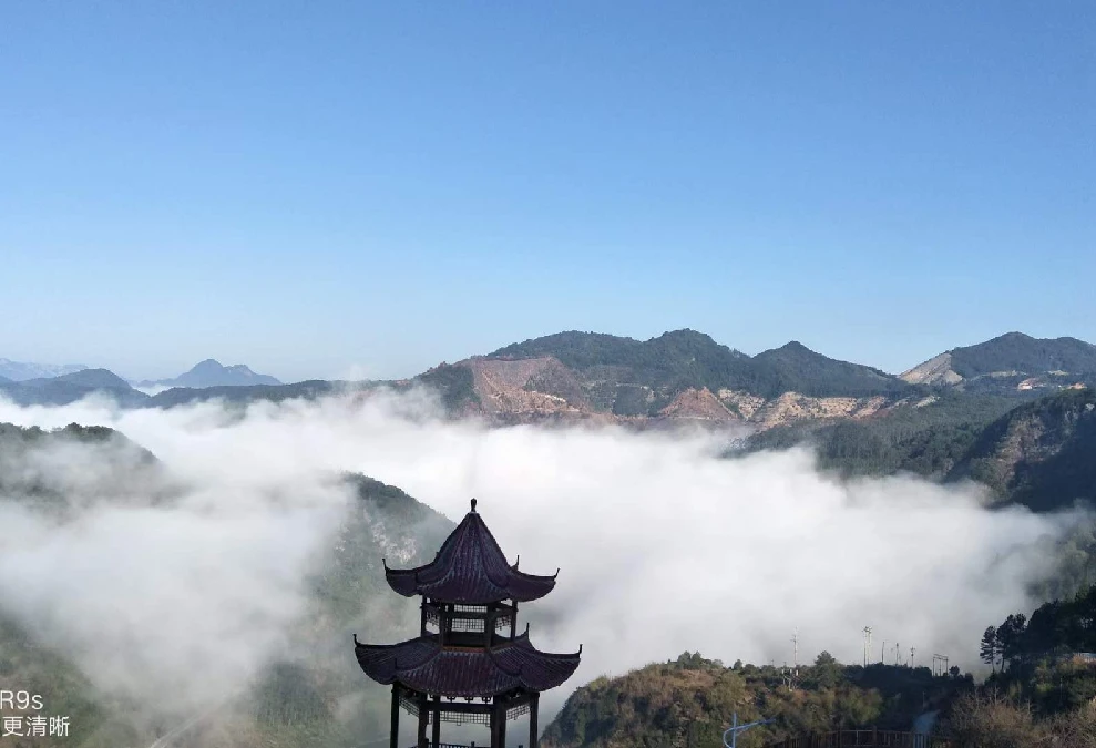 致富好项目种植_生态种植致富案例_致富生态平台