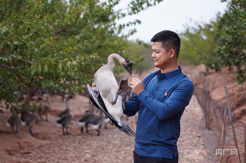 小方巾系包包系法图解_肉辣文师生男主是禁欲系老师_小辣系的致富经TXT