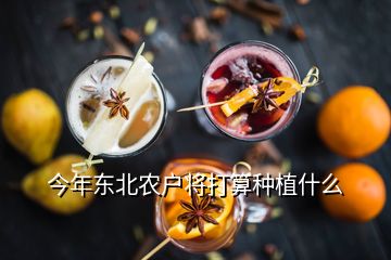 东北未来10大暴利种植，今年东北农户将打算种植什么