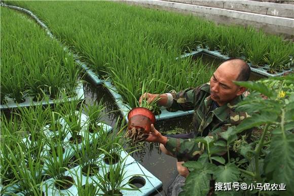 普丽康300多少钱一支_大水面养殖花鲢技术_360借条平台是合法的吗