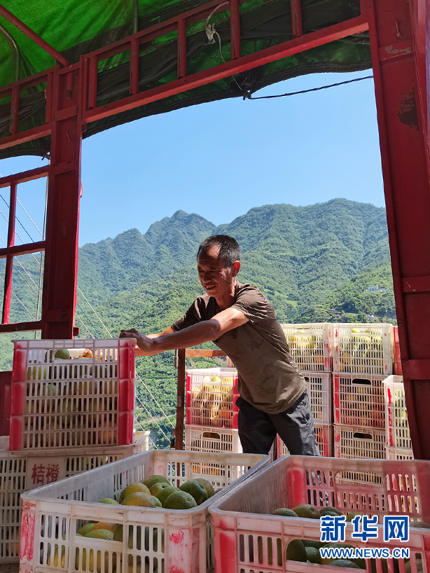 烟草种植赚钱吗_种植烟草致富_致富烟草种植方法