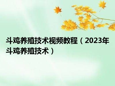 斗鸡养殖技术视频教程（2023年斗鸡养殖技术）