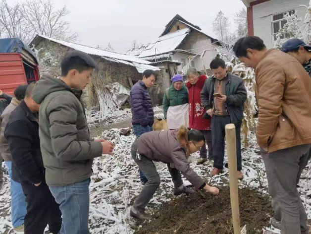 把讲台搬到田间地头把致富经送进群众心里，昭通学院这博士不一般