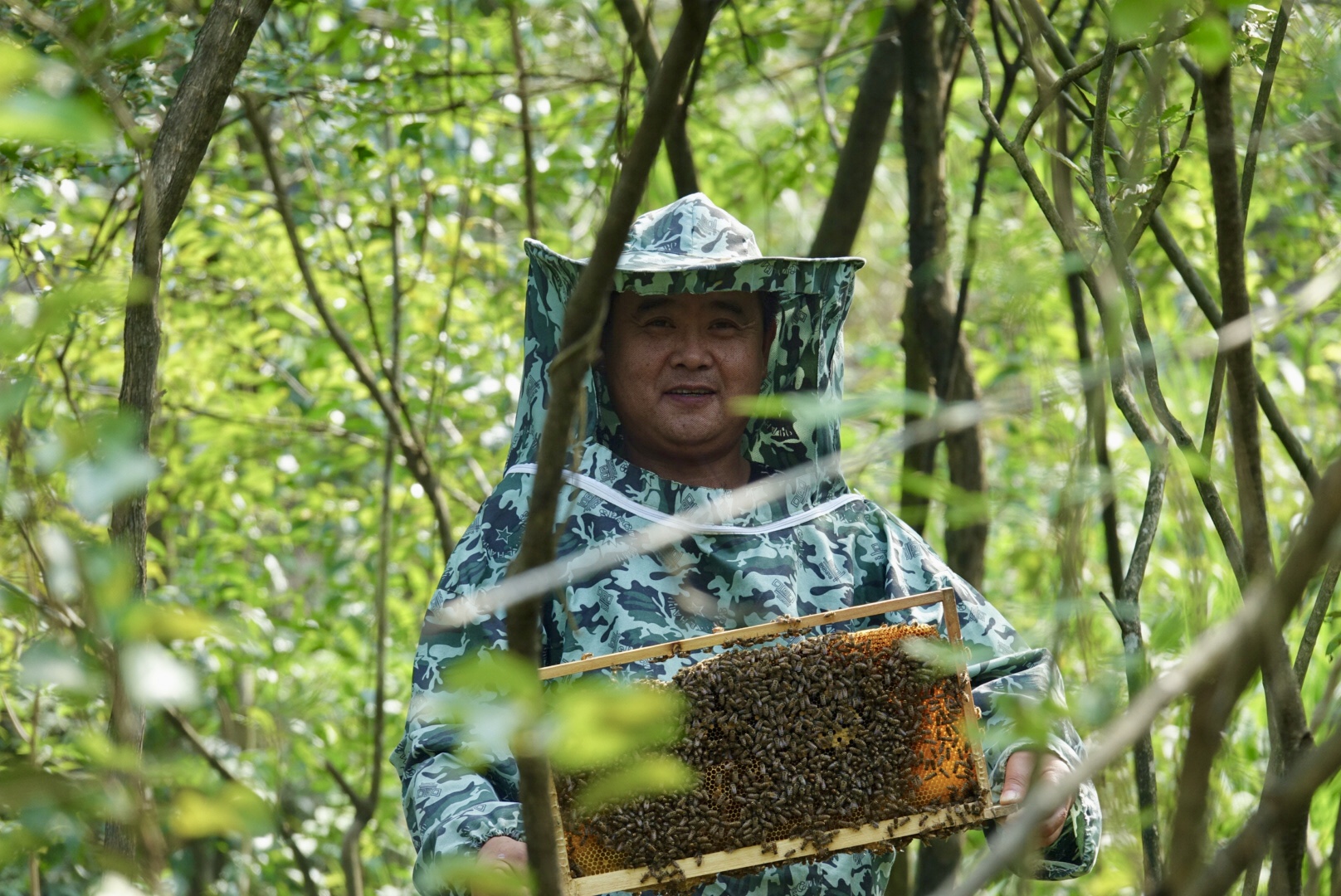 羊肚菌原种制作_致富经羊肚菌菌种制作_羊肚菌种制作视频