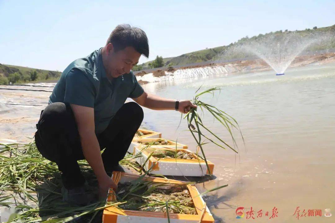 新型养殖青蟹技术视频_台湾青蟹养殖技术视频_青蟹内地养殖