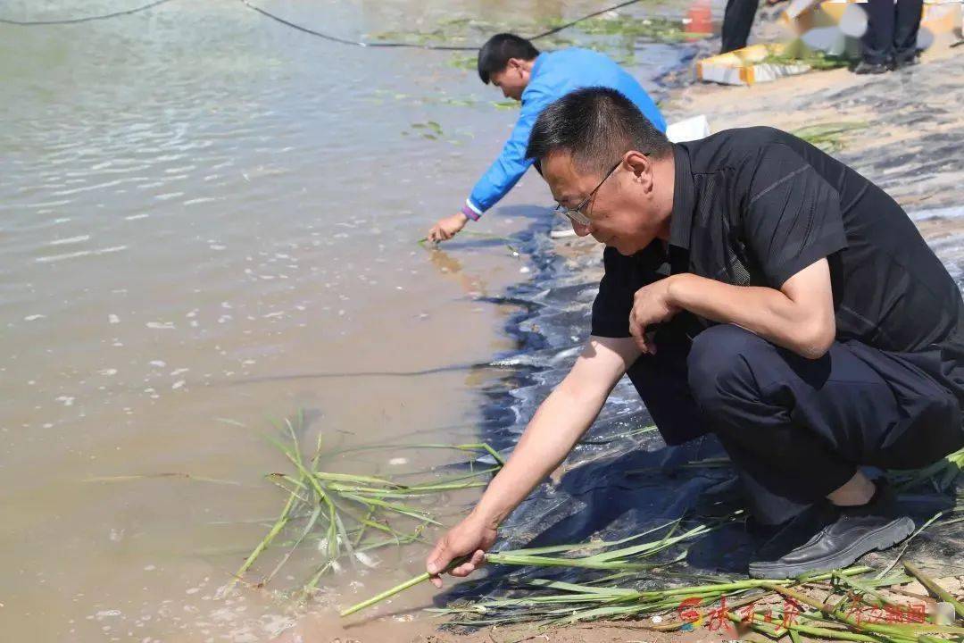 青蟹内地养殖_新型养殖青蟹技术视频_台湾青蟹养殖技术视频