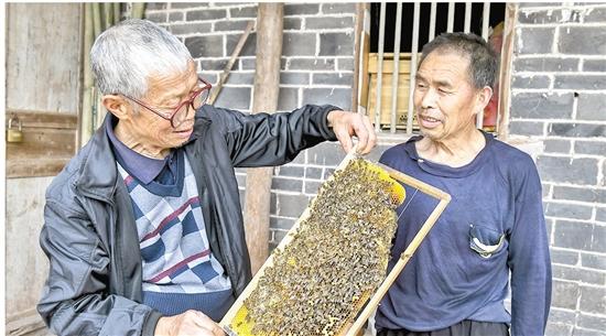 致富经视频 优品茂_致富经视频 优品茂_致富经视频 优品茂