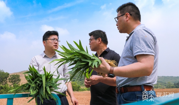 致富中药交易平台官网_致富中药交易平台下载_致富经中药交易平台