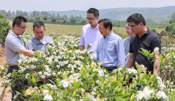 致富经中药交易平台_致富中药交易平台下载_致富中药交易平台官网