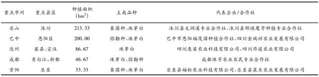 种植魔芋花技术要点_种植魔芋技术大全_花魔芋种植技术