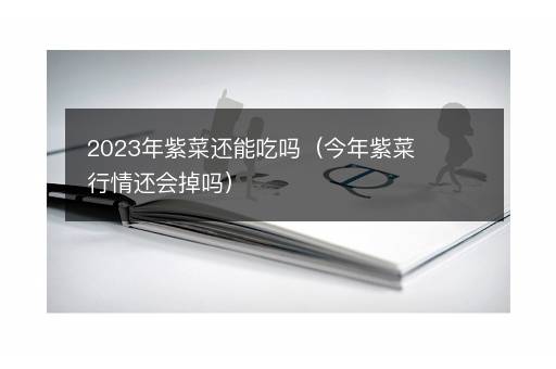 2023年紫菜还能吃吗（今年紫菜行情还会掉吗）