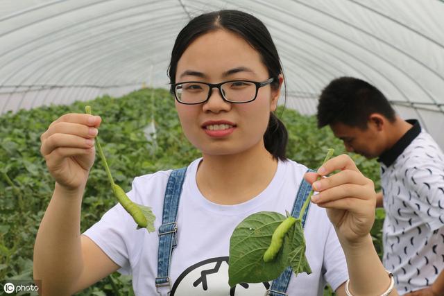 养殖虫子赚钱吗_虫子养殖视频大全_养殖虫子致富视频