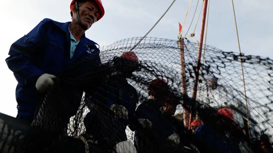 海上养殖鱼排_致富经大海鱼排养殖_海上养鱼鱼排多少钱