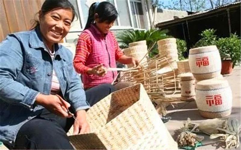 致富种植农村项目有哪些_农村有哪些种植致富项目_致富种植农村项目有补贴吗