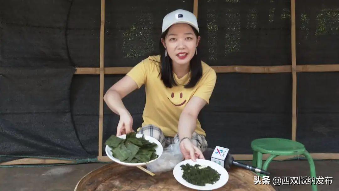 苔藓植物养殖_致富经苔藓_苔藓种植效益