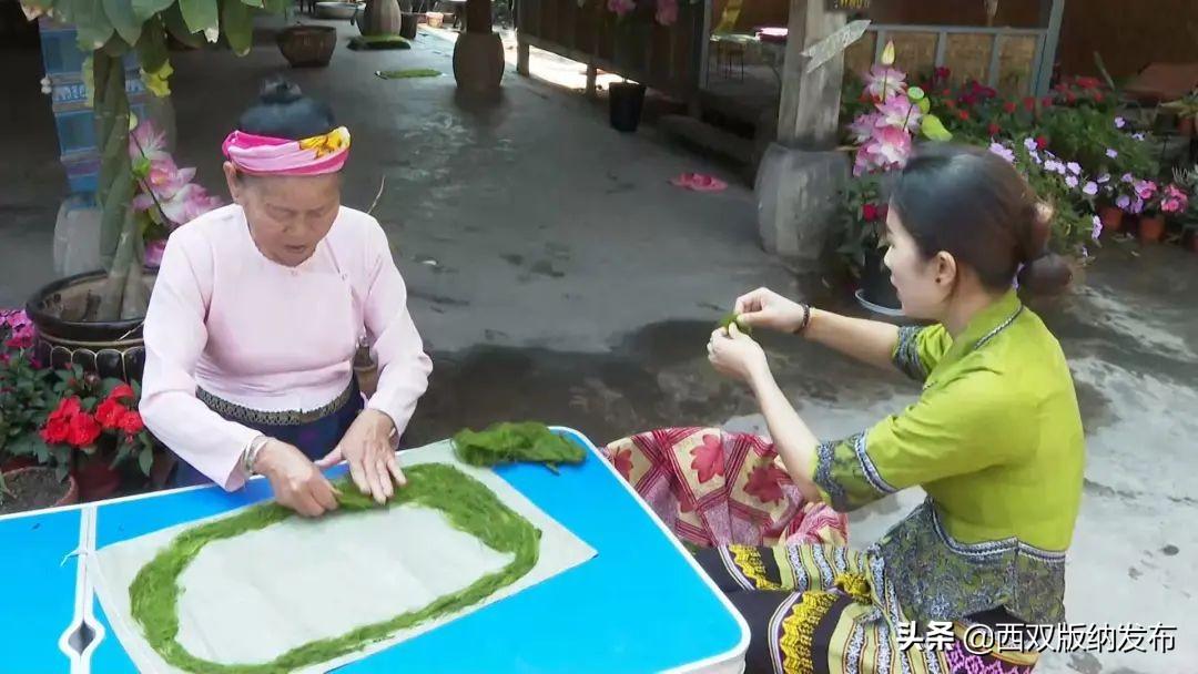 致富经苔藓_苔藓种植效益_苔藓植物养殖