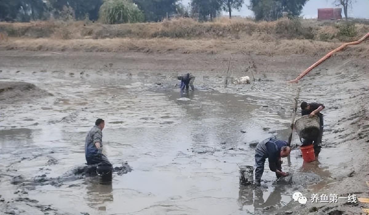 草鱼养殖场_工厂化草鱼养殖技术_工厂化养殖草鱼视频