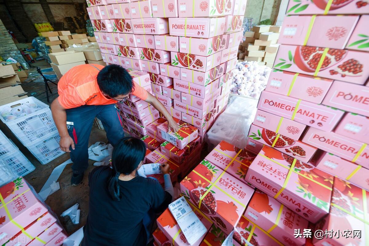 致富种植农村项目有哪些项目_致富种植农村项目有哪些_农村有哪些种植致富项目